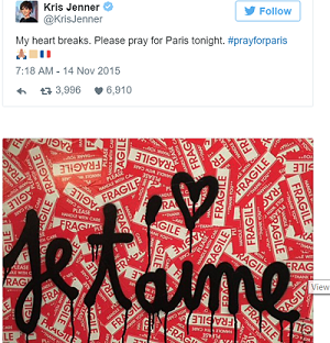 Sao thế giới chia sẻ lời cầu nguyện hòa bình cho Paris - 8