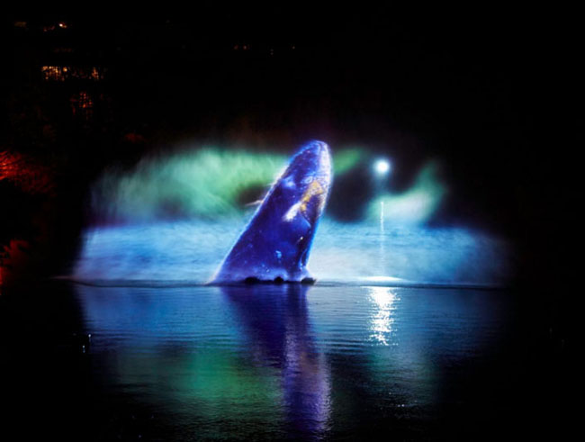 Trong màn sương mù bí ẩn phát sáng là hình ảnh chú cá voi 3D hay những tác phẩm đèn chiếu tuyệt đẹp trình diễn trên nền.