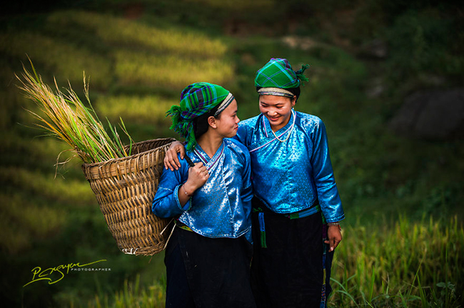 Thiếu nữ Nùng ở Hoàng Su Phì
