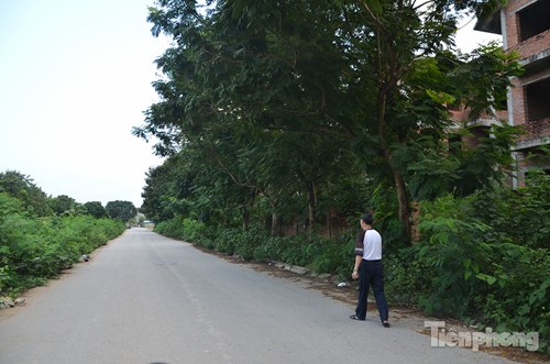 Biệt thự tiền tỉ bỏ hoang, cây cỏ dại mọc um tùm - 15