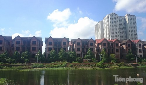 Biệt thự tiền tỉ bỏ hoang, cây cỏ dại mọc um tùm - 2