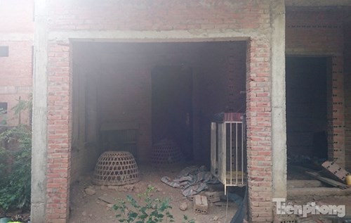 Biệt thự tiền tỉ bỏ hoang, cây cỏ dại mọc um tùm - 6