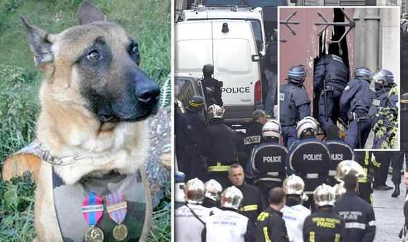 Cảm động chú chó cảnh sát bị khủng bố giết hại ở Pháp - 1