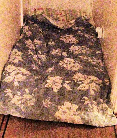 Anh: Bác sĩ giam lỏng người như nô lệ trong nhà 24 năm - 2