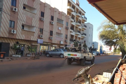 27 người chết trong vụ bắt giữ 170 con tin ở Mali - 1