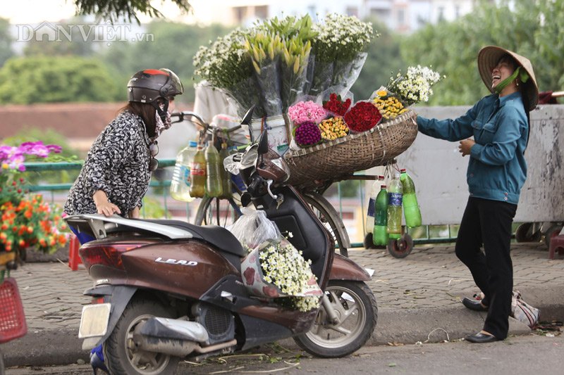 Trắng tinh khôi cúc họa mi trong chớm đông Hà Nội - 10