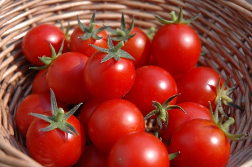 5 điều tuyệt đối cấm kỵ khi ăn và chế biến cà chua - 1
