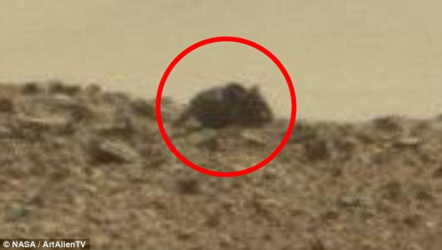 Phát hiện chuột khổng lồ trên sao Hỏa - 1