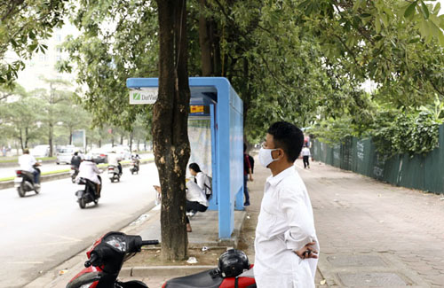 &#34;Hà Nội nên di dời bớt cây hoa sữa&#34; - 2