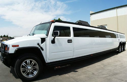 10 xe Limousine độc đáo nhất trên thế giới - 5