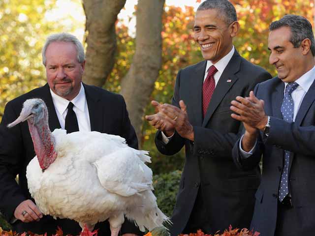 Tổng thống Obama ân xá gà tây, bông đùa trước lễ Tạ ơn - 1