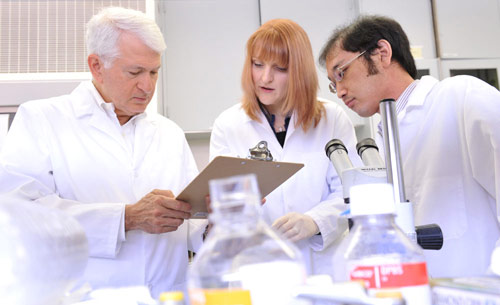 Hạt dẻ ngựa - bí kíp chữa bệnh trĩ của người Châu Âu - 2