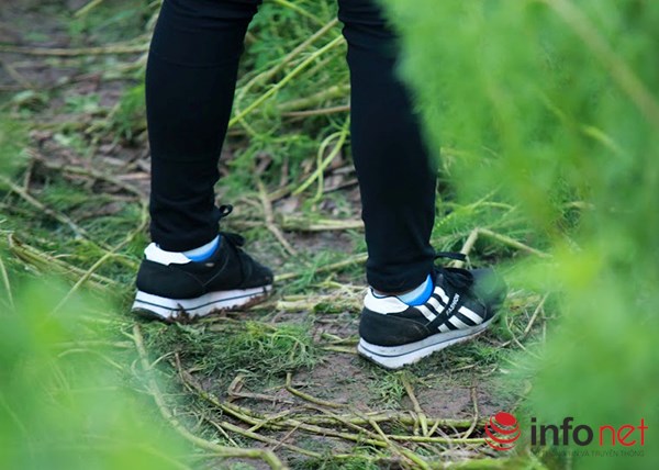 Vườn tam giác mạch giữa Thủ đô phải đóng cửa - 4