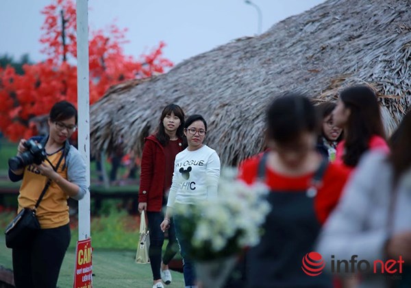 Vườn tam giác mạch giữa Thủ đô phải đóng cửa - 7