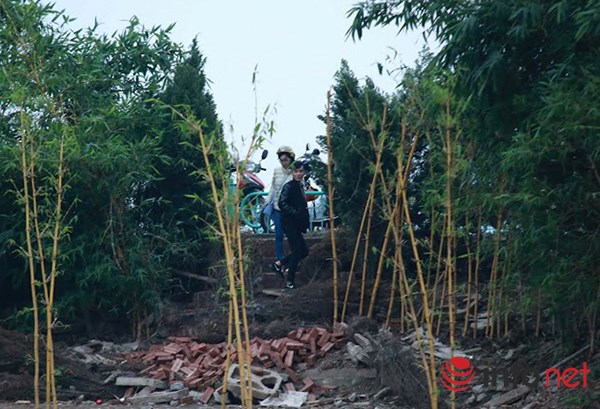 Vườn tam giác mạch giữa Thủ đô phải đóng cửa - 9