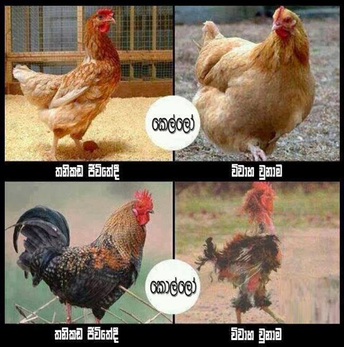 Chỉ dành cho ai đã kết hôn hoặc... chưa kết hôn - 3