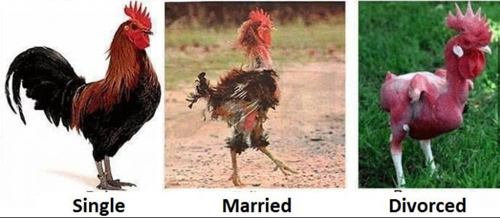 Chỉ dành cho ai đã kết hôn hoặc... chưa kết hôn - 6