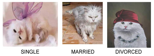 Chỉ dành cho ai đã kết hôn hoặc... chưa kết hôn - 9