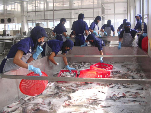 Phản đối Mỹ giám sát cá tra, ba sa của Việt Nam - 1
