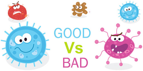 Cách chữa rối loạn tiêu hóa cho bà bầu đơn giản mà hiệu quả - 2