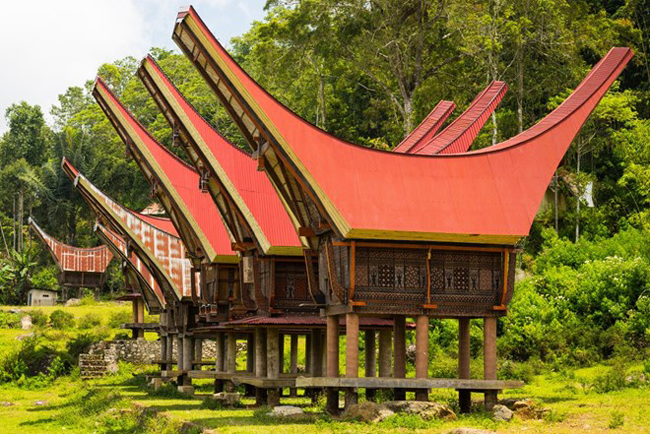 Tana Toraja ở khu vực miền núi Nam Sulawesi, Indonesia. Du khách tới đây sẽ được chiêm ngưỡng những ngôi nhà truyền thống có kiến trúc vô cùng đặc biệt mang hình dáng giống như những con thuyền.
