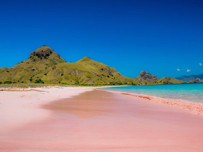 Bãi biển Pink (Pantai Merah) nằm trên đảo Komodo là một bãi biển đặc biển với cát được pha trộn với các rặng san hô tạo nên sắc hồng cho bãi biển.
