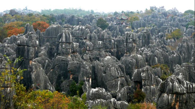 Rừng đá Shilin ở tỉnh Vân Nam Trung Quốc bao gồm hàng nghìn các khối đá vôi lên tới 270 triệu năm tuổi. Đỉnh các khối đá nhô lên nằm cạnh nhau trông như một khu rừng.