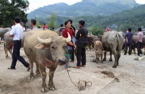 5 điểm du lịch Việt đừng bỏ lỡ trong tháng 12 - 2