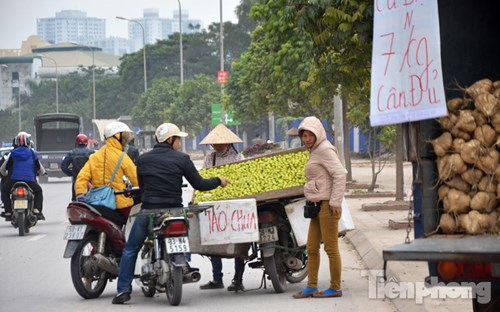 Phố hoa quả giá rẻ bán rong ở Hà Nội - 2