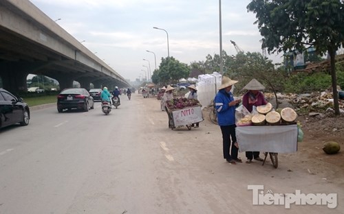 Phố hoa quả giá rẻ bán rong ở Hà Nội - 5