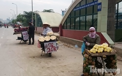 Phố hoa quả giá rẻ bán rong ở Hà Nội - 7