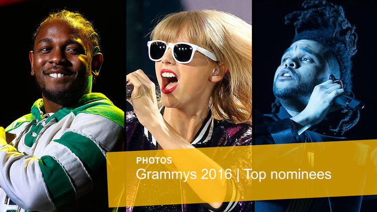 Fan hụt hẫng vì Adele không nhận được đề cử Grammy 2016 - 1