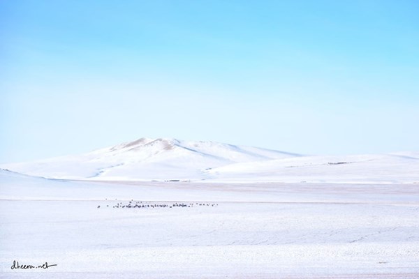 Mùa đông trắng trên thảo nguyên Mông Cổ - 1
