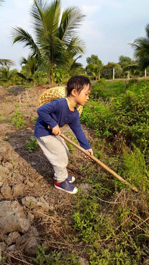 Facebook sao 10/12: Hà Hồ "khoe" ăn sắn dát vàng - 9