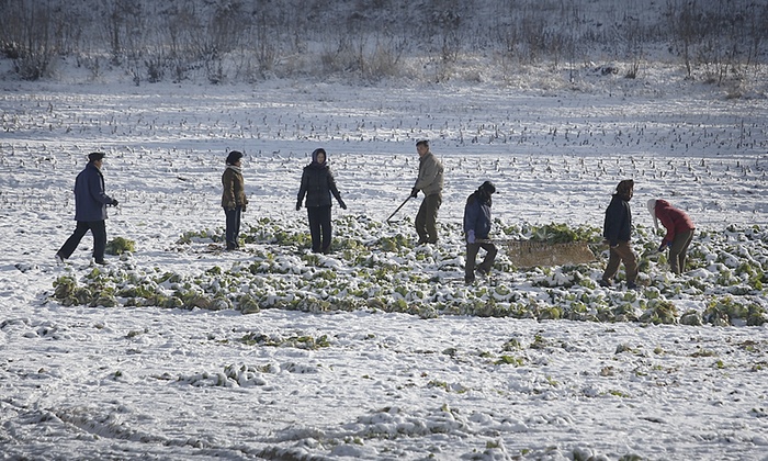 Ảnh: Cuộc sống mùa đông của người dân Triều Tiên - 5