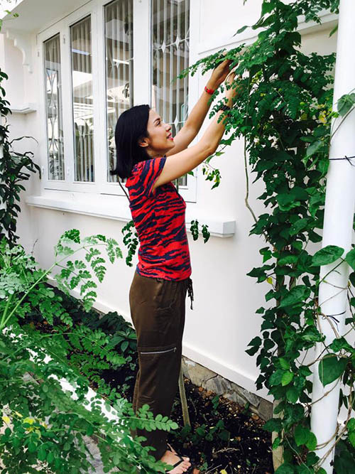 Facebook sao 14/12: Lộ ảnh con trai và 'bà xã' Tùng Dương - 7