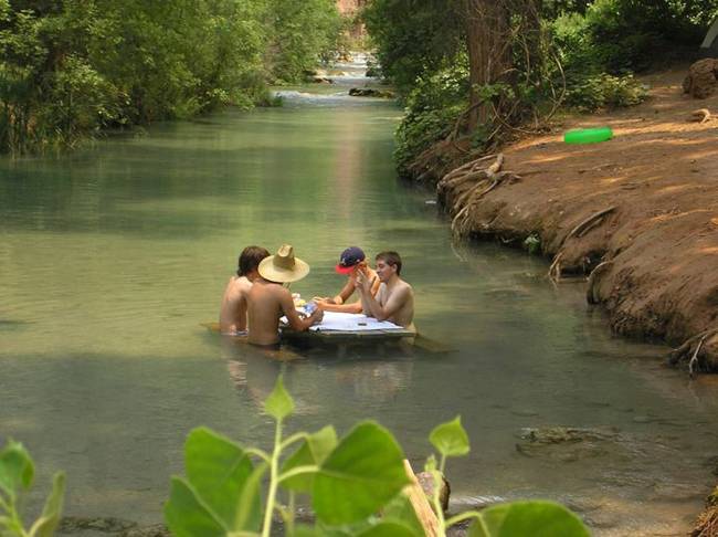 Thế này mới giống "hoang dã" chứ.
