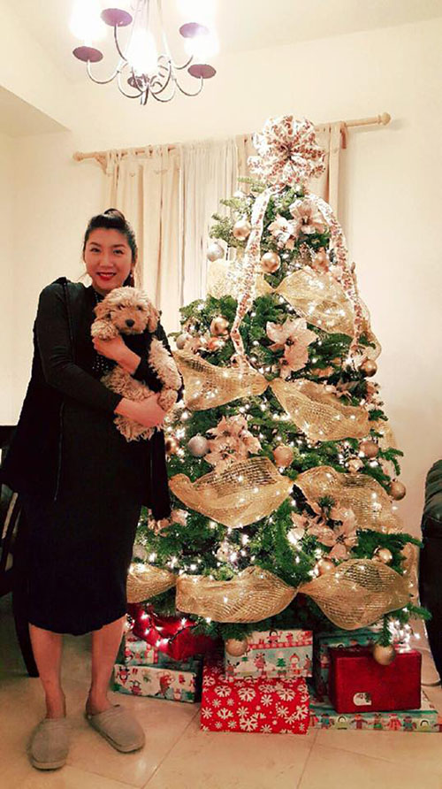 Facebook sao 17/12: Mr Đàm kêu gọi ủng hộ cho Phạm Hương - 2