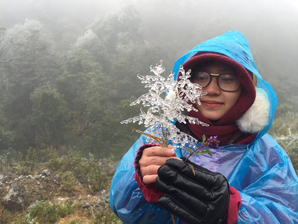 Sa Pa: Băng giá phủ kín đèo Ô Quý Hồ - 9