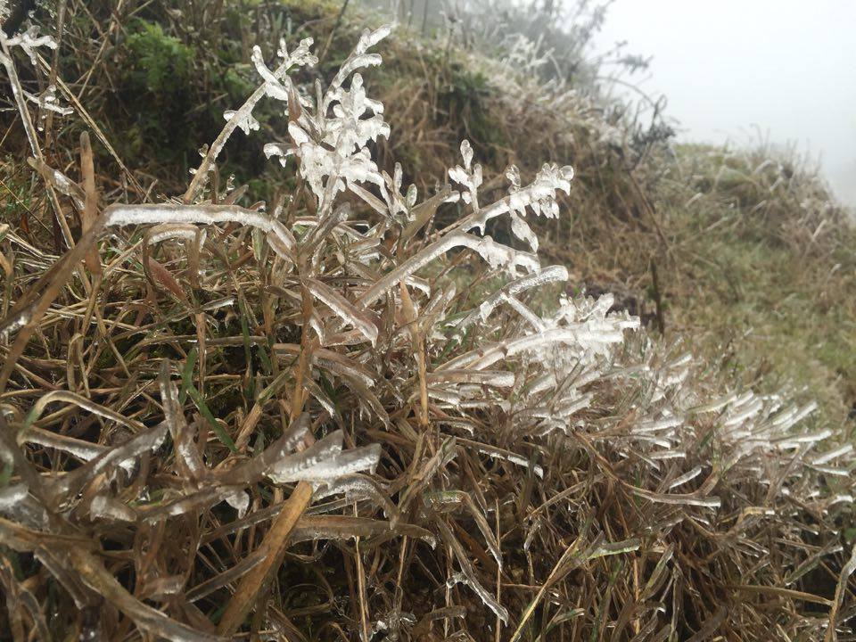 Sa Pa: Băng giá phủ kín đèo Ô Quý Hồ - 3