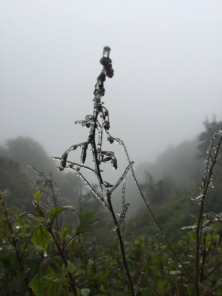 Sa Pa: Băng giá phủ kín đèo Ô Quý Hồ - 5