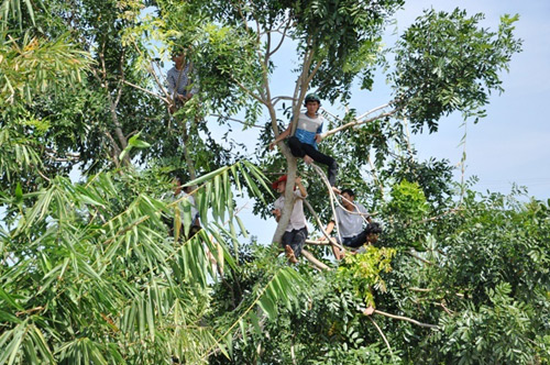 Vụ thảm án ở Bình Phước: "Ác gì mà ác dữ" - 14