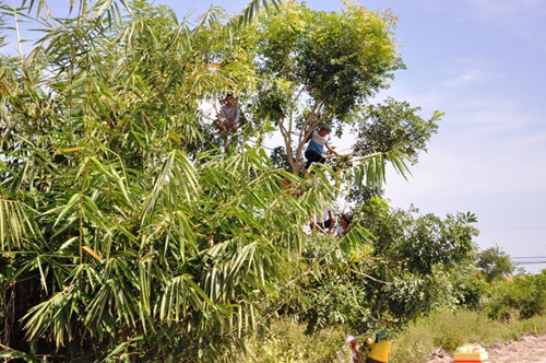 Vụ thảm án ở Bình Phước: "Ác gì mà ác dữ" - 15