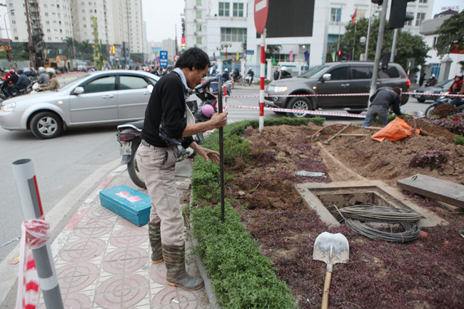 Phá bỏ thảm cỏ, cây xanh trên con đường đẹp nhất thủ đô - 7