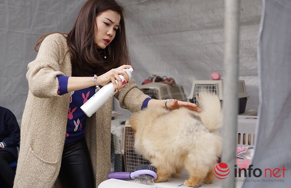 Kỳ công nghề trang điểm cho thú cưng - 7