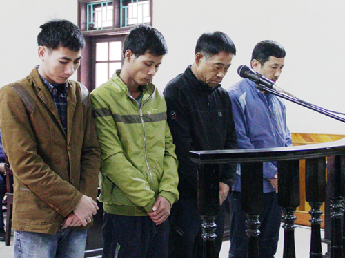 Tòa tuyên án vụ sập giàn giáo ở Formosa - 1