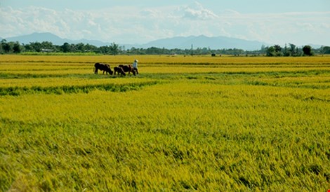 Trường Sơn, cung đường phải phượt một lần trong đời - 7