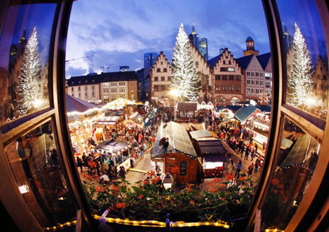 Cây thông nằm giữa khu phố đông đúc ở Frankfurt (Đức)