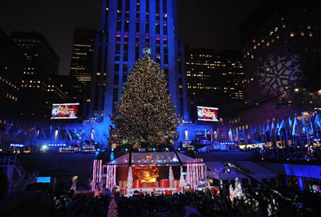 Cây thông Rockefeller cao gần 24m.