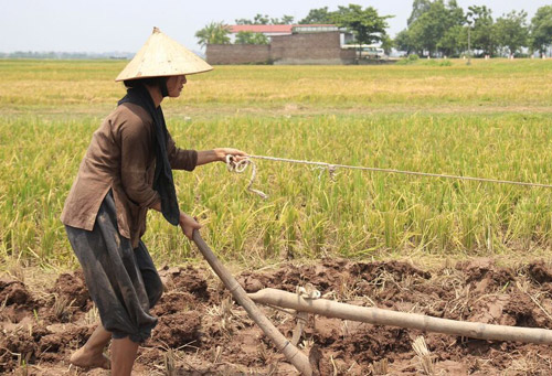 Ngắm người phụ nữ khổ nhất màn ảnh Việt 2015 - 8
